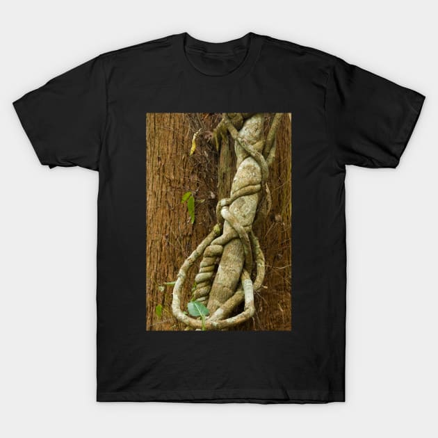 Vine T-Shirt by fotoWerner